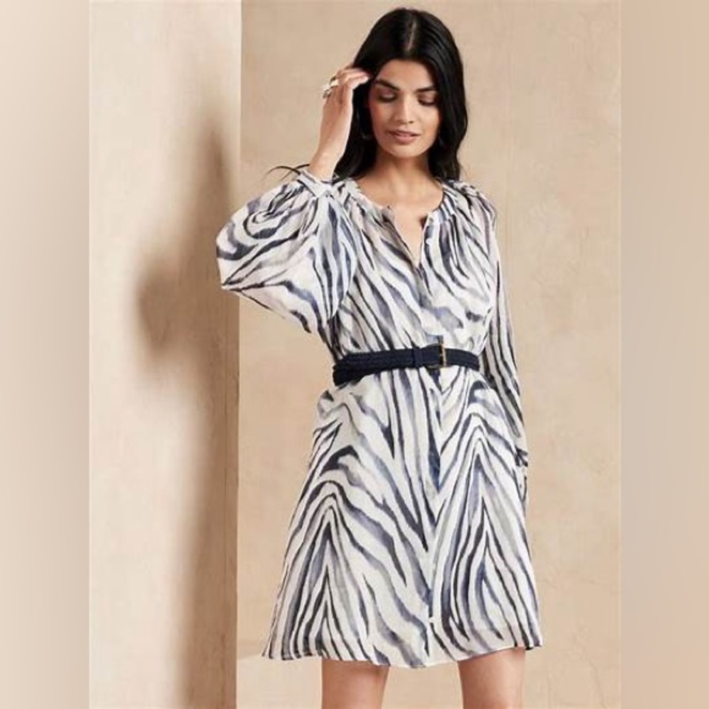 Banana Republic Ramie dress